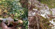 Cochabamba: Intensa granizada causa estragos en los municipios de Colomi y Vila Vila