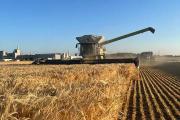 Gobierno afirma que se tiene garantizada la provisión de diésel para el sector productivo