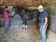 Rulo Assad quiere escribir otra página dorada en el Gran Premio Batalla de Tucumán
