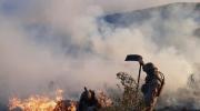 Reportan 4 incendios forestales, todos en el departamento de Santa Cruz