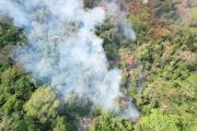 Incendios forestales suben de 17 a 22 en un día en Santa Cruz