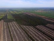 22 variables que hacen a la crisis agropecuaria y ambiental de Bolivia (II)