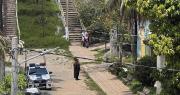 Hombre muere al caer de lo alto de una palmera a la que subió para sacar cocos