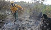 Reportan 19 incendios forestales en 10 municipios de Santa Cruz