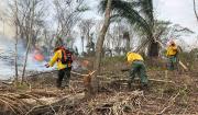 Bolivia registra 104 procesos por quemas e incendios forestales y logra cuatro sentencias