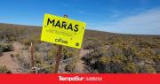 MARAS: un portal para seguir de cerca el estado de los pastizales en Patagonia