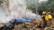 Santa Cruz enfrenta 19 incendios forestales en 10 municipios y el fuego persiste en el Parque Noel Kempff Mercado