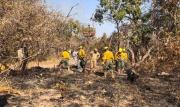 Bolivia registra 104 procesos por quemas e incendios forestales y logra cuatro sentencias