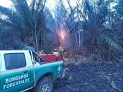 Gobernación cruceña reporta 19 incendios forestales
