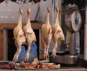 Kilo de carne de pollo y huevo subirán de precio por alza en el costo de maíz