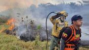 Gobernación reporta 19 incendios forestales; el fuego golpea al parque Noel Kempff