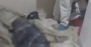 Criminólogo alerta sobre guerra territorial entre cárteles de drogas y mafias de Europa del Este en Santa Cruz