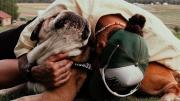 Lewis Hamilton confirmó el fallecimiento de su perro, Roscoe: Fue la decisión más difícil de mi vida