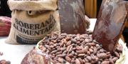 Exportaciones de cacao y café de Bolivia suben a $us 10 y 15 millones en cinco años