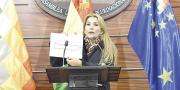 Añez debe cumplir tres requisitos para anular su sentencia de 10 años
