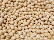 Sacando las papas del fuego