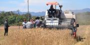 El Gobierno distribuirá los 35 MM de litros de diésel que requiere el agro