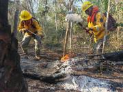 A septiembre, Defensa Civil reporta reducción considerable de focos de calor con relación al pasado año