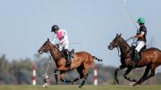 Abierto de Hurlingham de polo: UAE jugará la final ante La Natividad La Dolfina