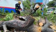 Lluvias anegan calles en Santa Cruz y provocan al menos seis emergencias