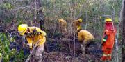 Defensa Civil confirma control total de incendios forestales en Bolivia