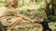 Murió la reconocida etóloga Jane Goodall, considerada la mayor experta en chimpancés del mundo