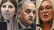 Linares y Cristina votaron contra el veto; Terenzi, ausente