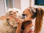 Cuál es la enfermedad silenciosa que transmiten los perros: cuidado con besarlos