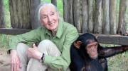 Muere a los 91 años la etóloga británica Jane Goodall