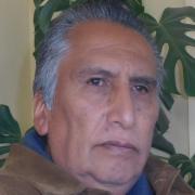 Candidatos a vice y naturaleza del cambio en Bolivia