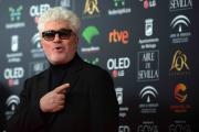 Pedro Almodóvar recibe en San Sebastián el premio honorífico Donostia