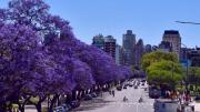 Clima en Buenos Aires: el pronóstico del tiempo para este martes 7 de octubre