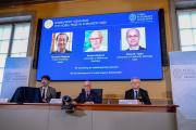 Nobel de Química es para tres científicos por el desarrollo de estructuras metal-orgánicas