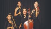 El poder del talento femenino en el Día de la Mujer Boliviana