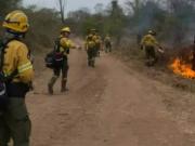 Los incendios forestales ya arrasaron más de 2.000 hectáreas en el norte de Salta y el fuego sigue fuera de control