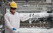 Crece a más de 1.145% exportaciones de litio