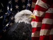 Las corrientes ideológicas en EEUU