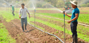 Censo en Santa Cruz busca fortalecer la calidad agropecuaria nacional con estándares FAO
