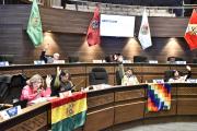 Senado declara el 15 de noviembre como el Día del Hombre Boliviano