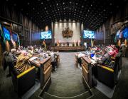 Senado aprueba declarar el 15 de noviembre como Día del Hombre Boliviano