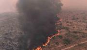 A causa de los incendios forestales, emisiones de CO2 en Bolivia superaron 383% más del promedio
