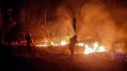 A causa de los incendios forestales, emisiones de carbono en Bolivia superaron 383% más del promedio