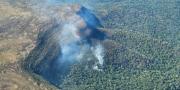 Más de 20 ataques destruyeron ecosistemas en reservas naturales durante 2025, según Defensa Civil
