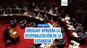 Uruguay se convierte en el primer país de América Latina que despenaliza la eutanasia