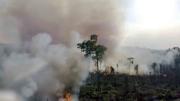 Incendios forestales: una diputada demanda al viceministro de Defensa Civil por incumplimiento de deberes
