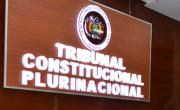 TCP se compromete con un futuro proceso de Reforma Constitucional