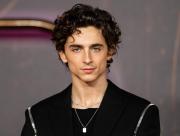 La decisión de Timothée Chalamet que marcó su carrera: donó su salario de una polémica película