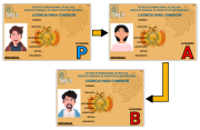 La importancia de la licencia de conducir