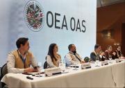 La OEA observará la votación de bolivianos en cuatro países del exterior
