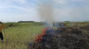 Cuatro municipios reportan incendios forestales activos en Santa Cruz